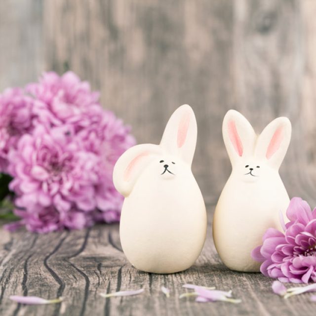 Pasqua 2016