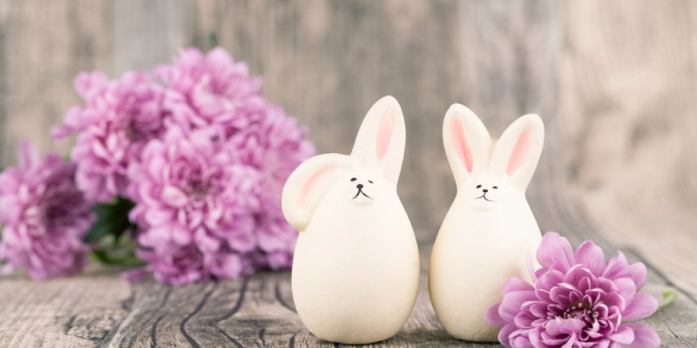 Pasqua 2016